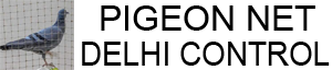 snsunisexsalon